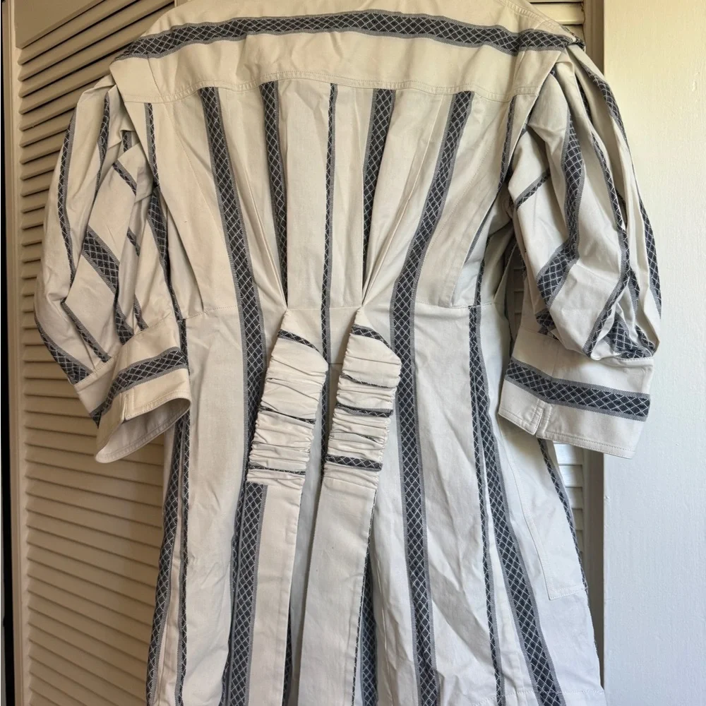 Acler Kingsway Collared Stripe Mini Dress - Picture 4 of 8
